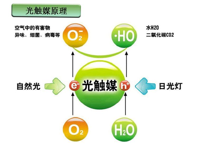 新奥门49图库宝典